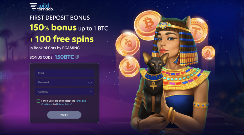 no deposit bonus 100 free spins